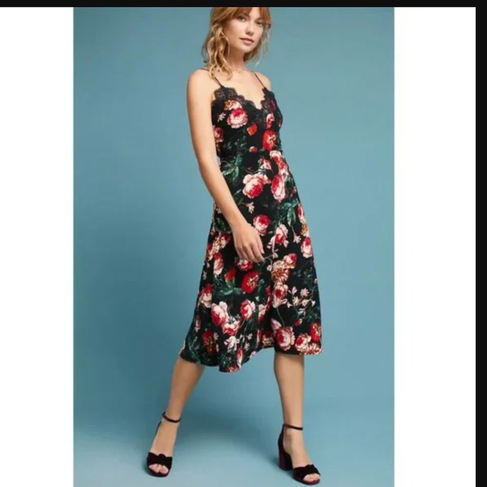 Foxiedox, floral dress with lace border, anthropologie, new, size Z